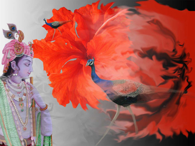 Krishan with rose.jpg